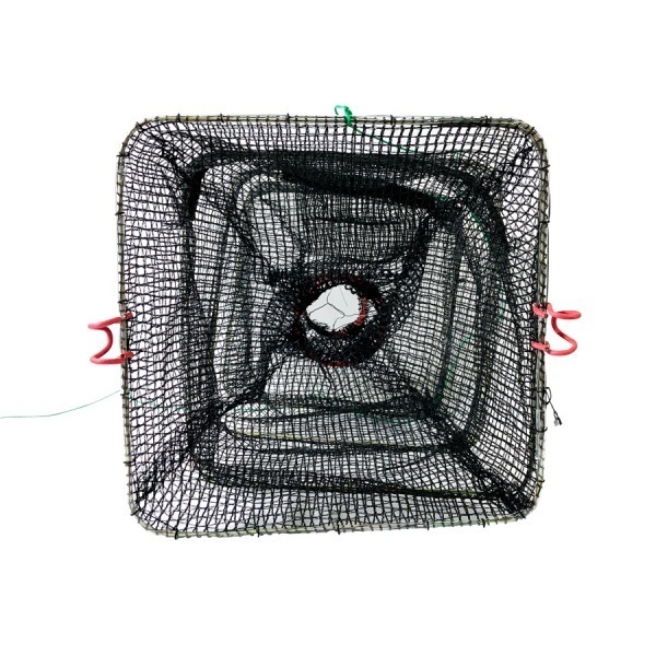 お魚ホイホイコンプリートセット